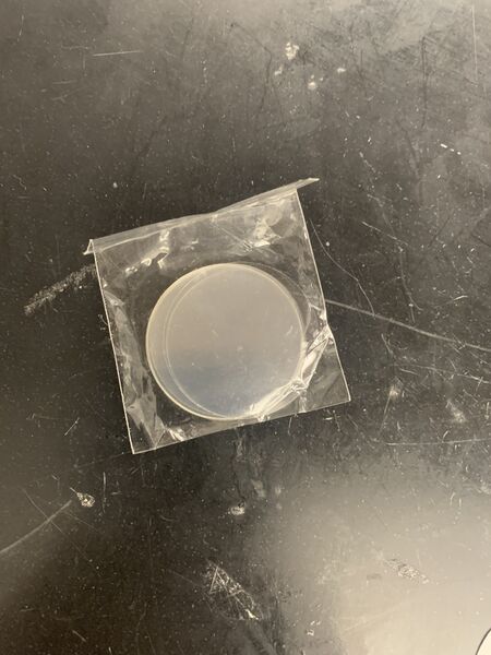 File:Clear Film.jpg