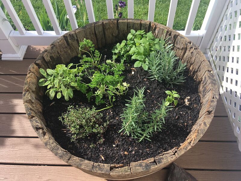 File:Herbgarden.jpeg